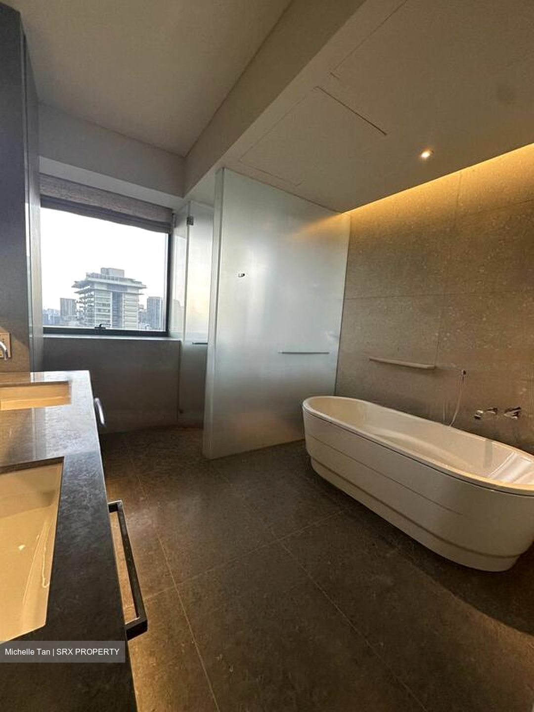 Hana (D10), Condominium #461434241